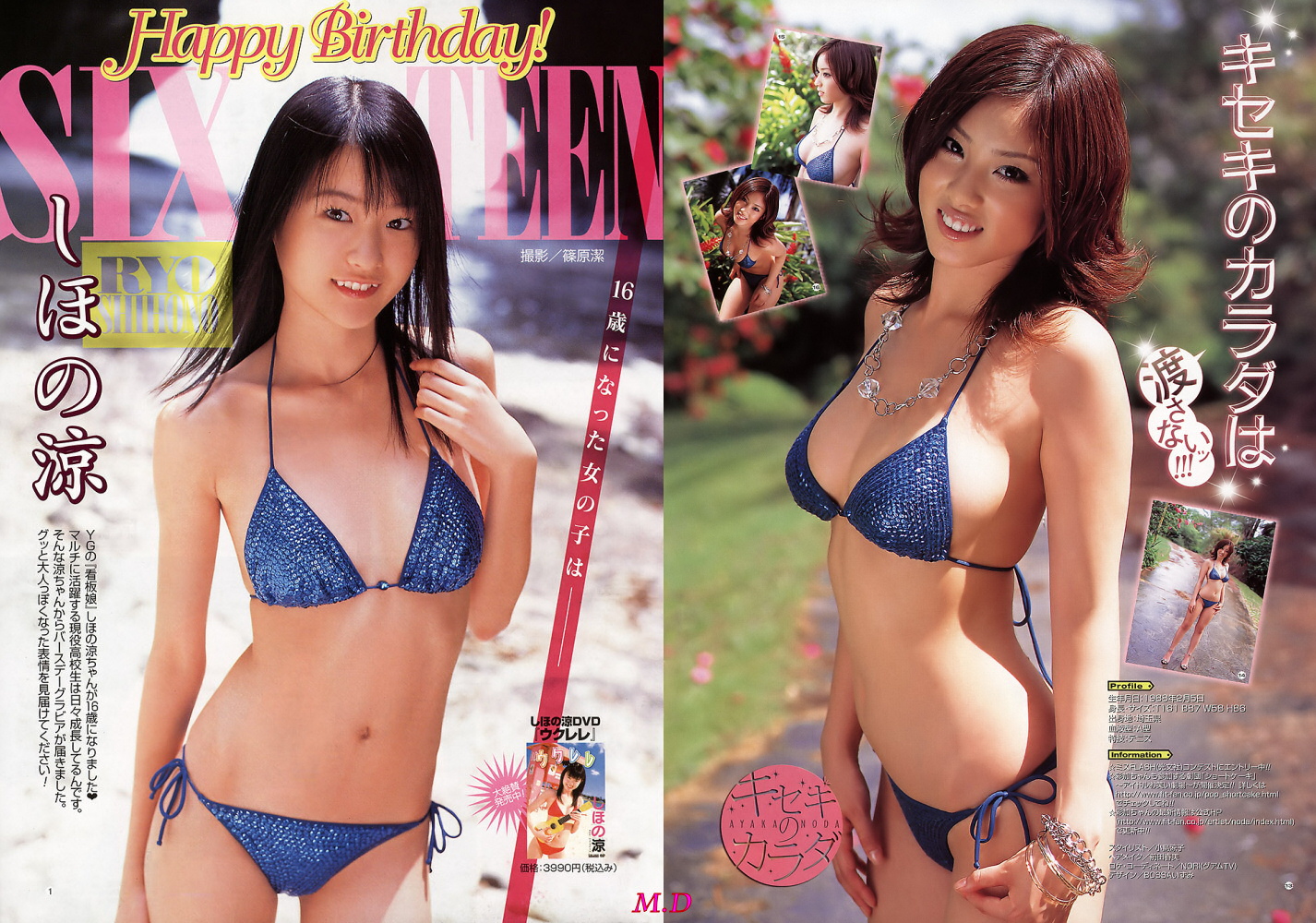 どっちの水着でshow A No341 しほの涼 野田彩加 どっちの水着でshow