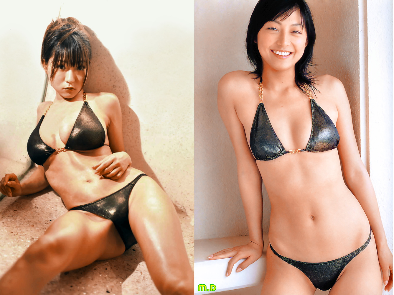 堀井 美月 ビキニ どっちの水着でshow＋α（No451)堀井美月 山中めぐみ : どっちの水着でshowⅢ