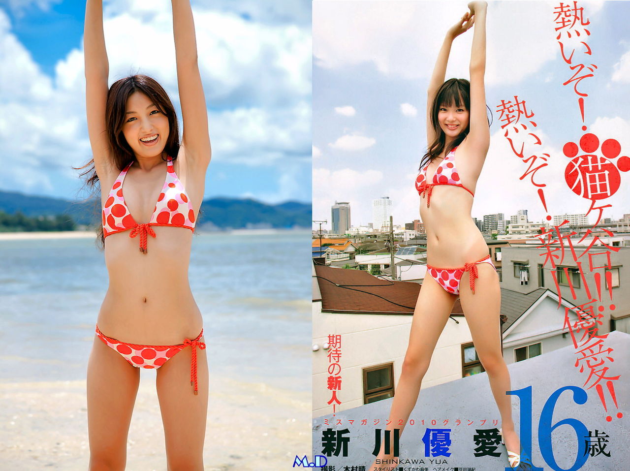 どっちの水着でshow No 1230 大杉亜依里 新川優愛 どっちの水着でshowf