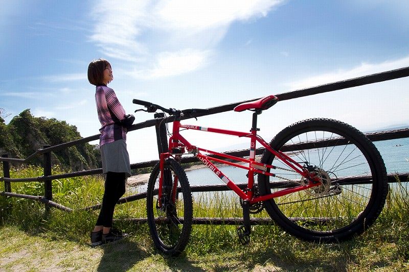 2wd 自転車 販売