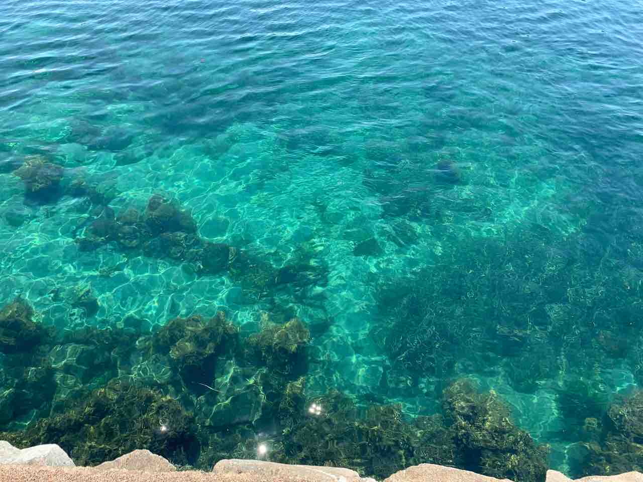 福井県 若狭高浜海釣り公園でカサゴ釣り 医師看護師夫婦の日常