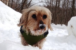 お アクリーリオ