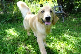 は メル 8・16→8・29