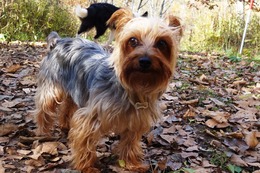 く バディ 10・22→11・22