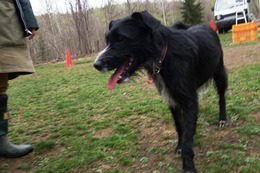 の　エカチェリーナ　５・１→５・２７