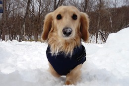 お クレーマ 新1歳