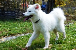 み ウィン 10.18→10.19