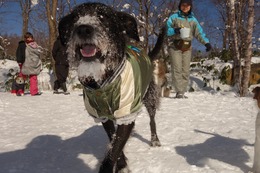 の　エカチェリーナ １・２８→１・２９