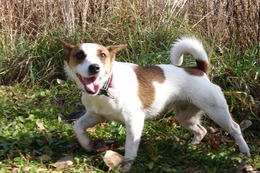 あ　真　１１・３→１１・２１