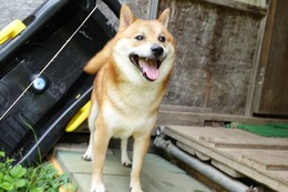 た 瑛斗
