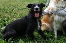 の エカチェリーナ 6・1→7・28