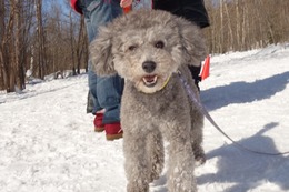 よ　ノア　新６歳