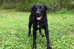 に　ブリンクリー　９・２８→１０・２