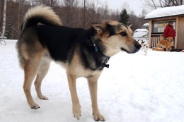 ふ　平蔵　２・２３→２・２５