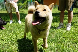 す　リュウ　新７か月