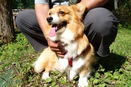 い　羽美　新3歳