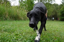 す ルル 9.12→9.19