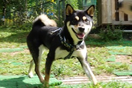 あ　琥太郎