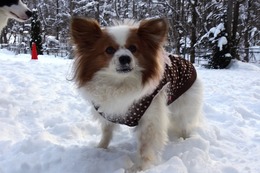 ご リト 1・21→2・17