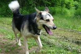 ふ　平蔵　7.11→7.13