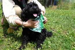 さ　しょう7.28→7.29