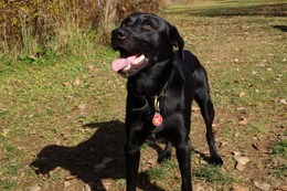 に ブリンクリー