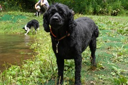 さ しょう 8・11→8・29