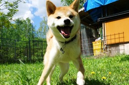 く　ここ