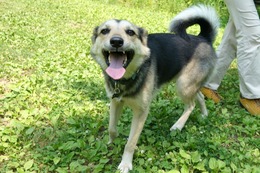 ふ　平蔵　７・９→９・３