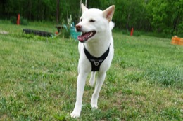 ま うたまる5.28→5.27