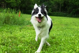 お　エルフ　新7歳