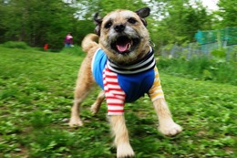 わ　BARR　５・２３→５・２６