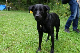 に　ブリンクリー　９・２→９・４