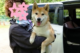 あ りん 新2歳 - コピー