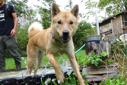 い のんの 新7か月