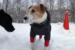 あ　純