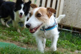 な　チョコ　7.21