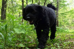 さ　しょう　5.28→5.29