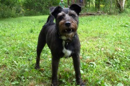 さ　こたろう　８・１８→８・２７