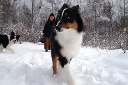 や　アントワン　１１・１７→１１・２４