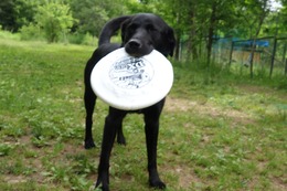 に　ブリンクリー