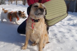 わ BARR 2・13→2・23