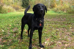 に　ブリンクリー　10.14→10.16