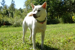 ま うたまる 9.2→9.16