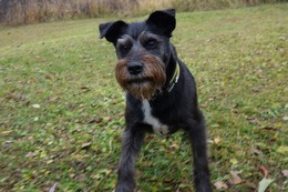 さ こたろう 11・2→11・19