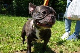 す　めい　新７歳