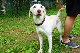 か　リン　新10か月