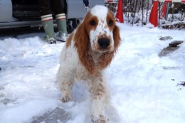 の　バロン　新５か月