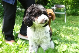 に　ふく　6.24→7.4