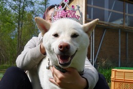 ま　うたまる　３歳誕生記念　5.20→5.29